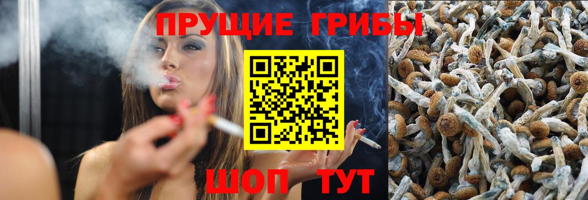 Псилоцибиновые грибы Magic Shrooms  Псилоцибиновые грибы мухоморы  Вход с VPN  Кудымкар 